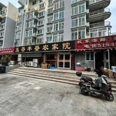 WU GU FENG DENG User Photo