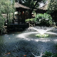 DA RUN LONG YAN ZHA ZHU ROU User Photo