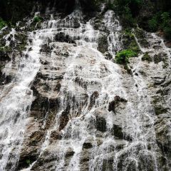 巴适得板冷水鱼庄 User Photo