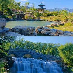 老刘蒸饺·清真餐厅 User Photo