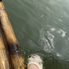 River view Restaurant 여행 사진