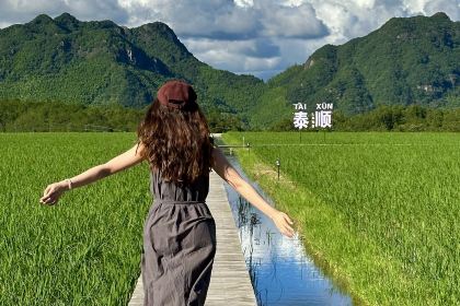 在发呆·lan's浪肆咖啡庄园