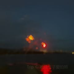 Nyonya Kebaya-A taste of Malaysia User Photo