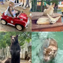 糖潮糖水鋪（省府店）張用戶圖片