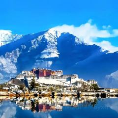 SNOWLAND'S SECRET User Photo