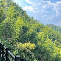 YUNYA COFFEE User Photo