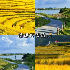 LONG YI FEN JIAO PU User Photo