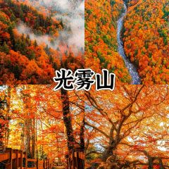 yang seafood User Photo