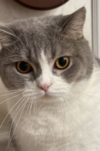 Zhenguoqiaokeliweier 長隆橫琴灣酒店（珠海長隆旗艦店）優惠