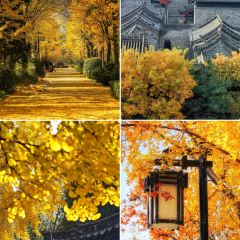 杨记灌肠(食品街店) User Photo