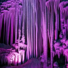 Yaojia Restaurant User Photo