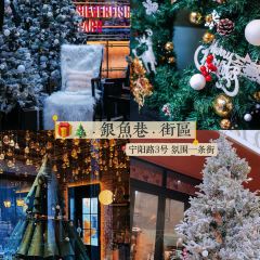 QINGDAO MEET MILANO User Photo