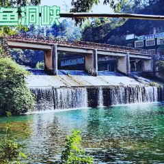 築箐苑張用戶圖片