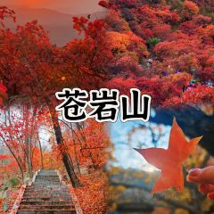 无极饸饹·饸饹张(第一分店) 여행 사진