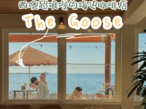 The Goose