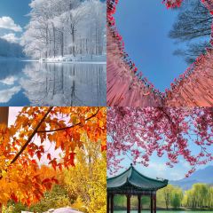 老韩头清真食品(欧亚商都店) User Photo