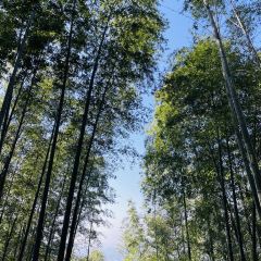 快樂家園•大魚王（南山竹海店）張用戶圖片