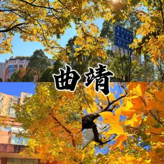 沾益龔氏辣子雞（沾益店）用戶圖片