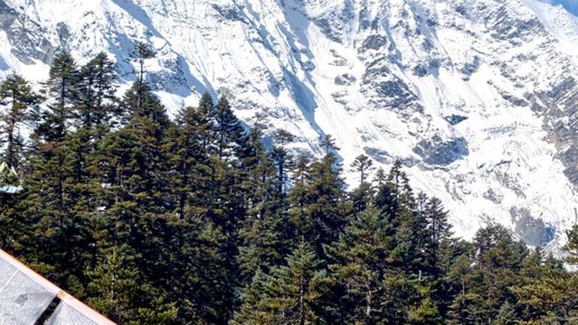 bai pu long gou mu chang