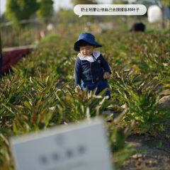 良壤有机庄园 User Photo