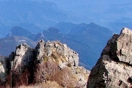 德庄火锅(东方街店)