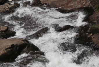 江东饺子馆(江东路店) User Photo