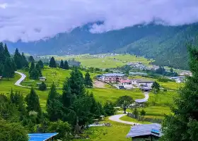 高山牧場