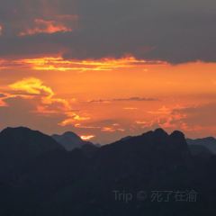 左江鱼生 User Photo