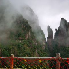 莽山天台山美食 User Photo