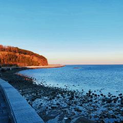 海天阁(成山大道东段店) User Photo