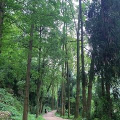 柒月麓山 여행 사진