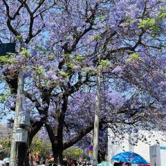 凉山州彝族自治州西昌市布托县城 User Photo