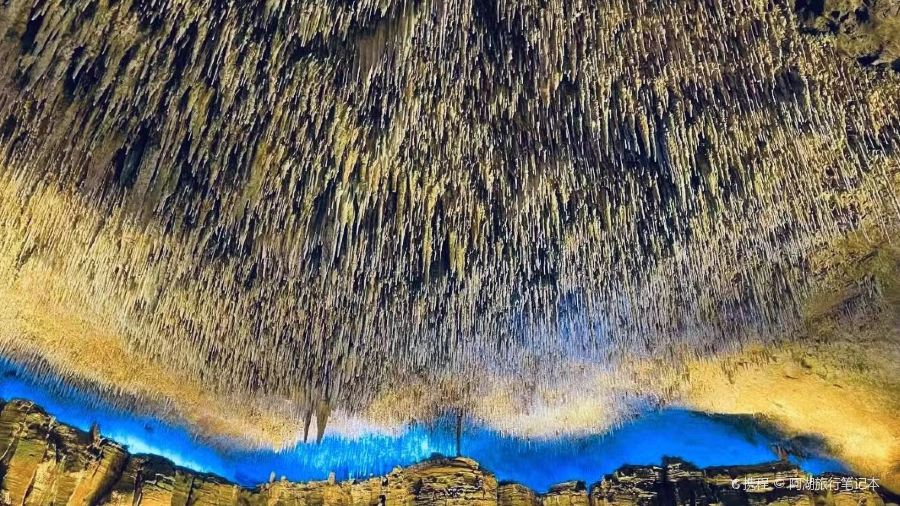 邱肥肠(巴州店)