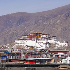 光合作用咖啡厅 User Photo