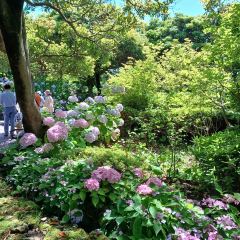 Manor Blanc User Photo