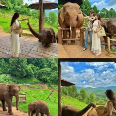 Elefin Farm & Cafe เอเลฟิน ฟาร์ม แอนด์ คาเฟ่ User Photo
