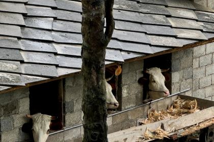 吴二大排档(小十字店)