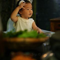 山下人家·土砂锅腊排馆(青城山店) User Photo