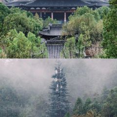 贤花特色馄饨 User Photo