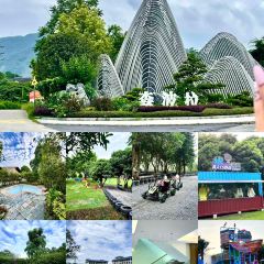 森波拉度假森林丛林餐厅 User Photo