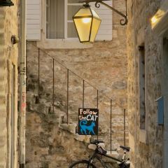 Juice Bar Budva User Photo