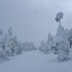 Yokote Sancho Hutte Kumo No Ue No Restaurant 여행 사진