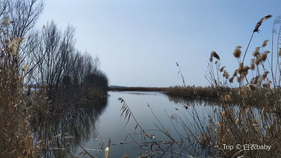 ma na si xian guo jia shi di gong yuan yan fei tai jing qu