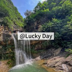山阳丹青吊脚楼·山谧丨茶餐厅 ảnh của người dùng
