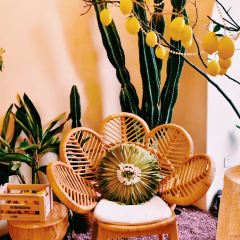 Home·花园里(崇州店) User Photo