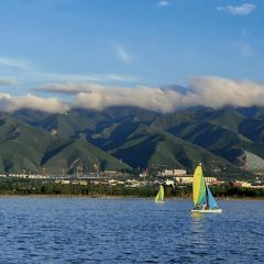 史家鱼+面总店 User Photo