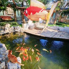 Cat's Home Fish Restaurant・Reservoir Fish Theme Restaurant (Yunshui Huaxi Branch) User Photo