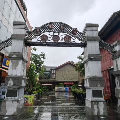 菌齐彩菇 User Photo