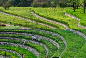 WANG FAMILY GOLD MEDAL DRIED TOFU HOT POT User Photo