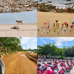 Nyonya Kebaya-A taste of Malaysia User Photo